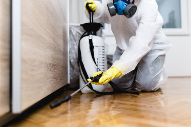 Professional Pest Control in Frisco City, AL