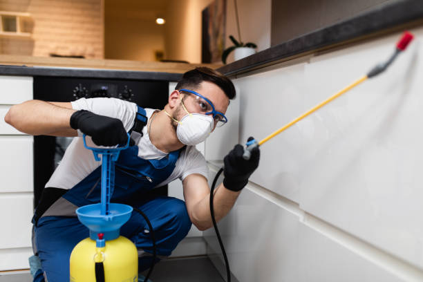 Best Bed Bug Extermination  in Frisco City, AL