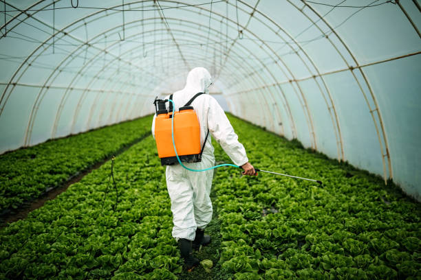 Best Mosquito Control Services  in Frisco City, AL