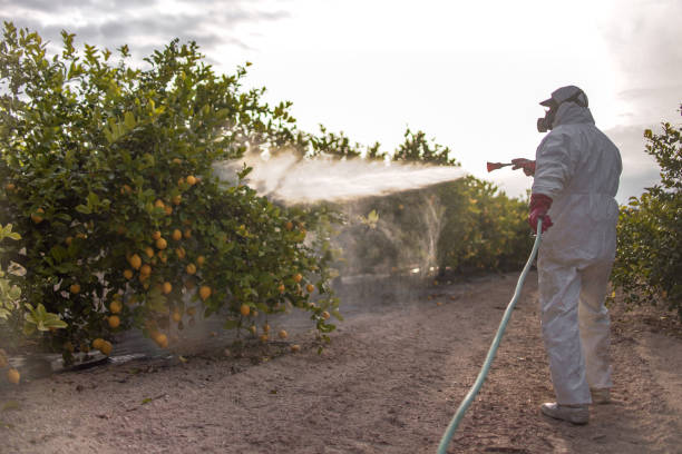 Best Commercial Pest Control Services  in Frisco City, AL