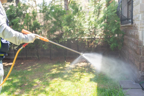 Professional Pest Control in Frisco City, AL