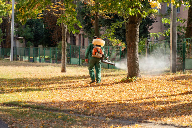 Best Affordable Pest Control Services  in Frisco City, AL