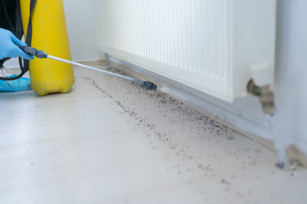 Best Pest Removal Services  in Frisco City, AL